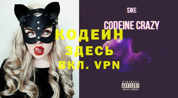 дживик Семилуки