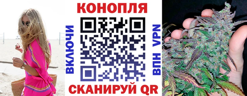 Конопля семена  Зея 